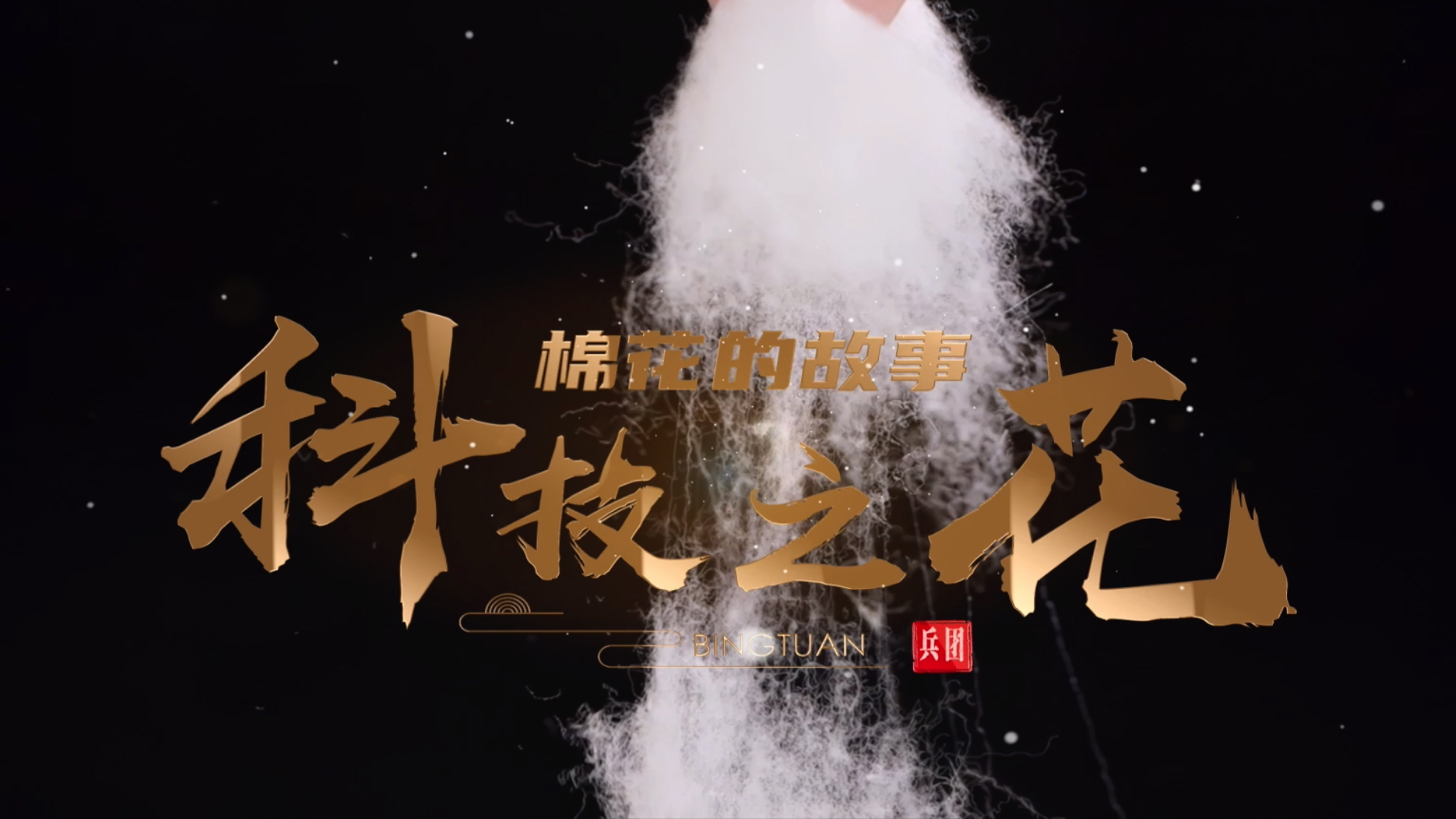 棉花的故事