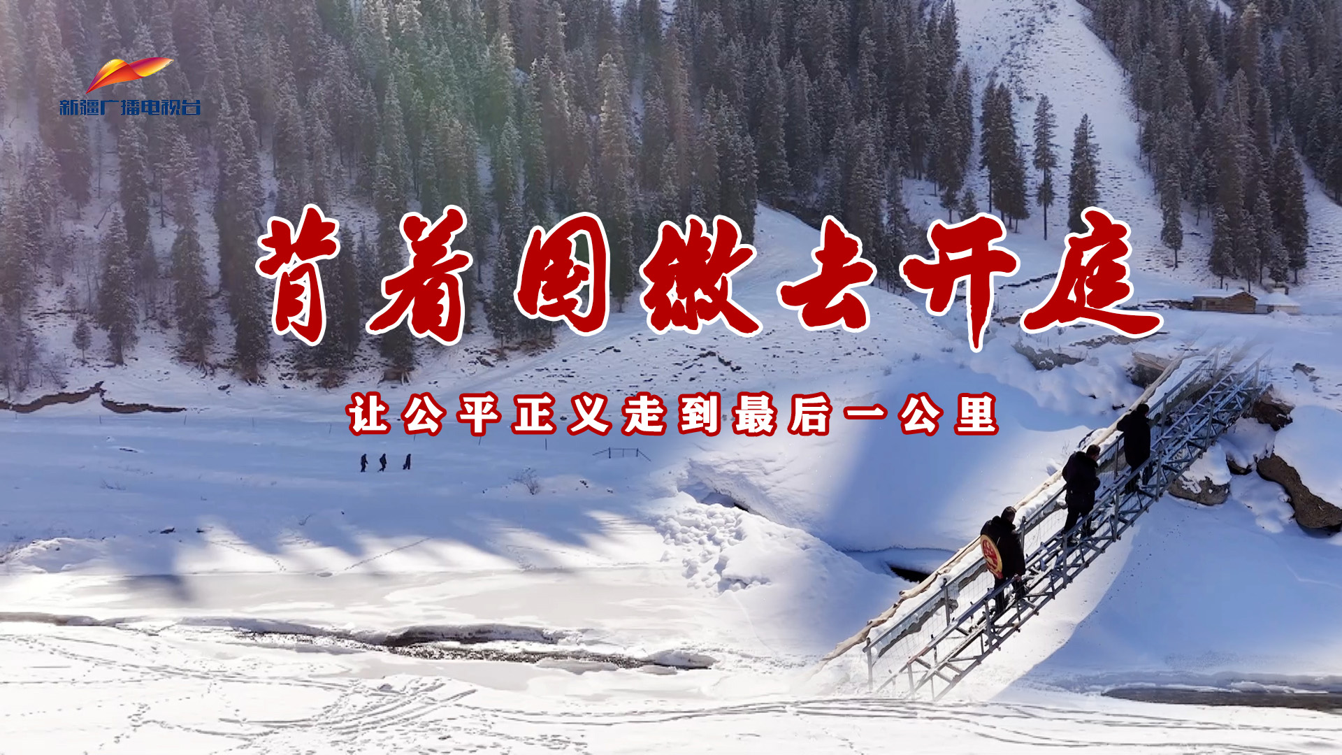 背着国徽去开庭