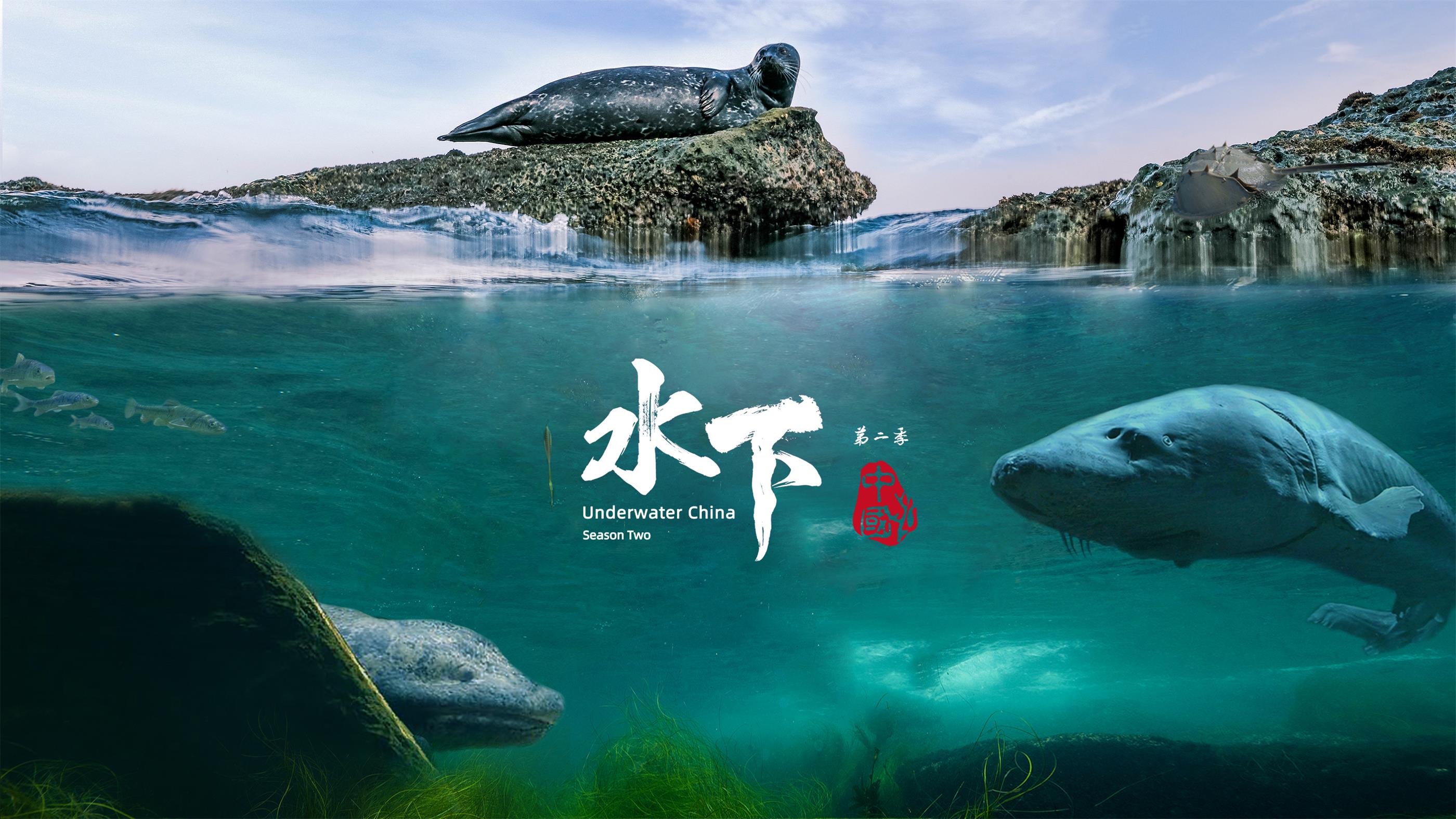 水下中国（第二季）
