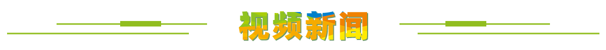 视频新闻