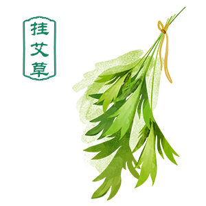 划龙舟