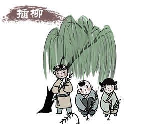 插柳