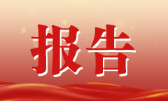 报告