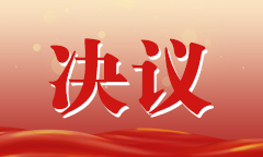 决议