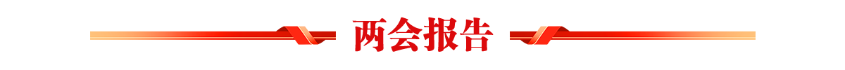 两会报告