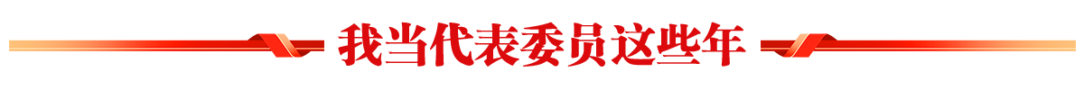 我当代表委员这些年