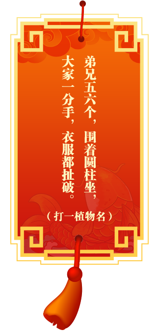 灯谜3
