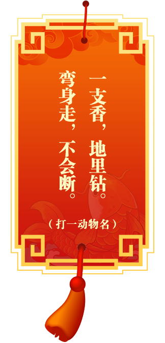 灯谜9