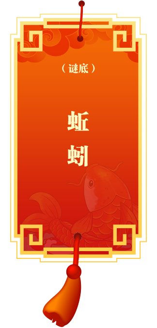 谜底9