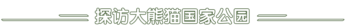 探访大熊猫国家公园