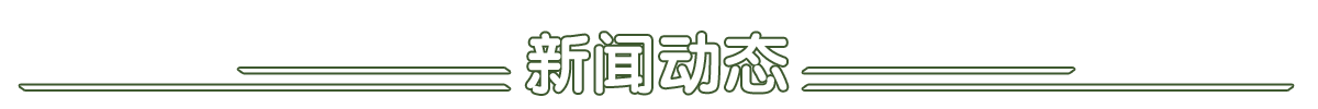 最新动态